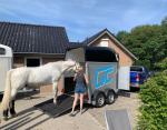 Proline Chamonix 1,5-paards trailer met zadelkamer